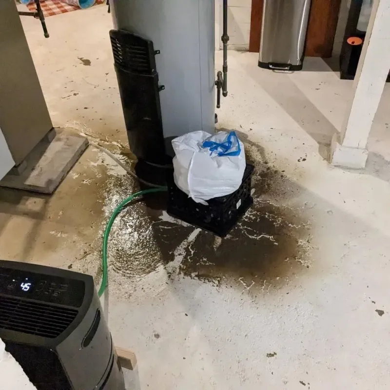 Sewage Backup Cleanup Service in Gladstone, OR